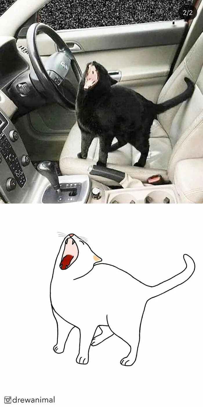 Artist Transforms Funny Cat Pics Into Illustrations And Here Are 70 Of The Best Ones