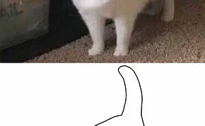 Artist Transforms Funny Cat Pics Into Illustrations And Here Are 70 Of The Best Ones