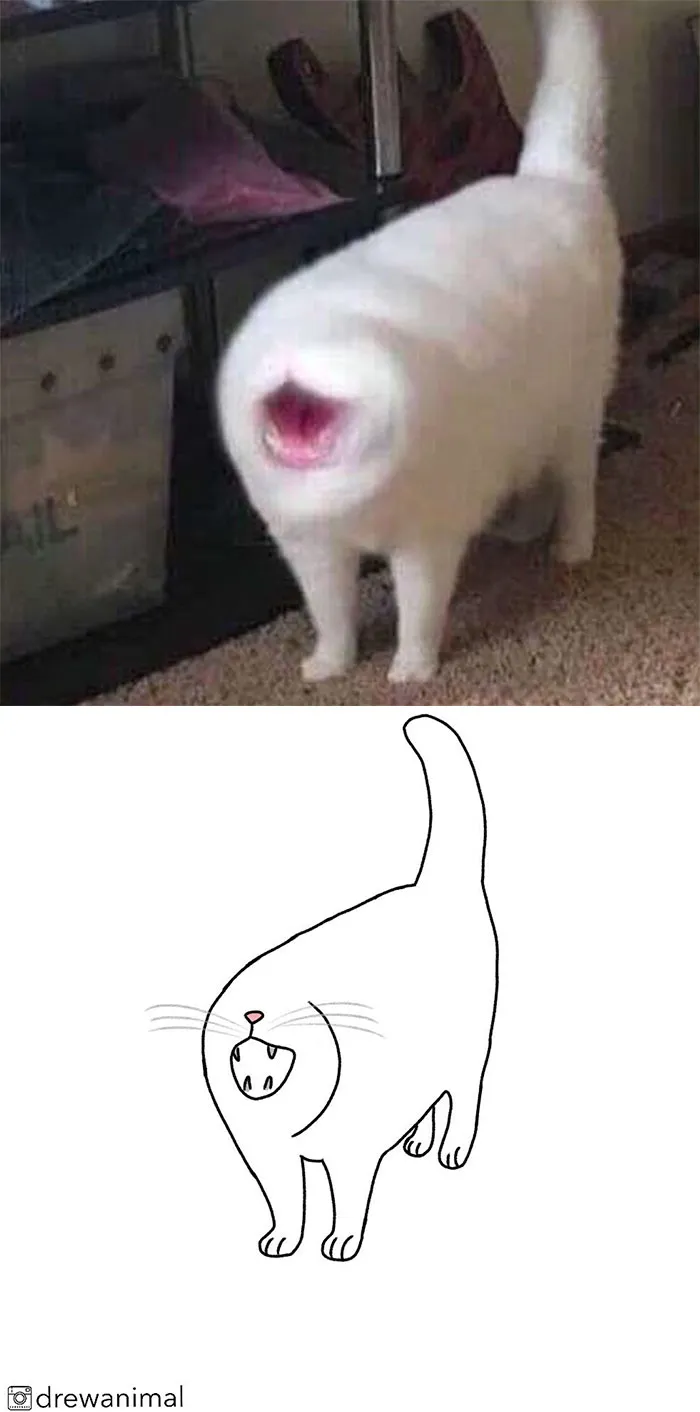 Artist Turns Classic Cat Memes Into Minimalist Illustrations