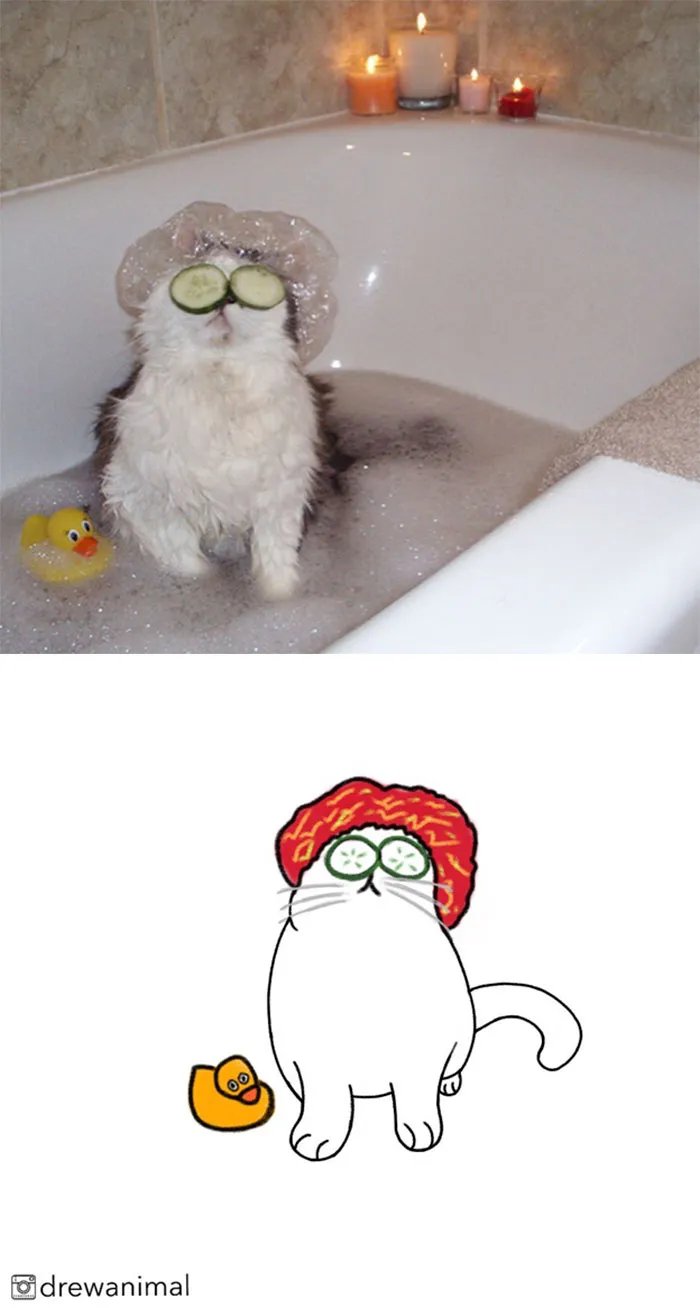 Artist Transforms Funny Cat Pics Into Illustrations And Here Are 70 Of The Best Ones