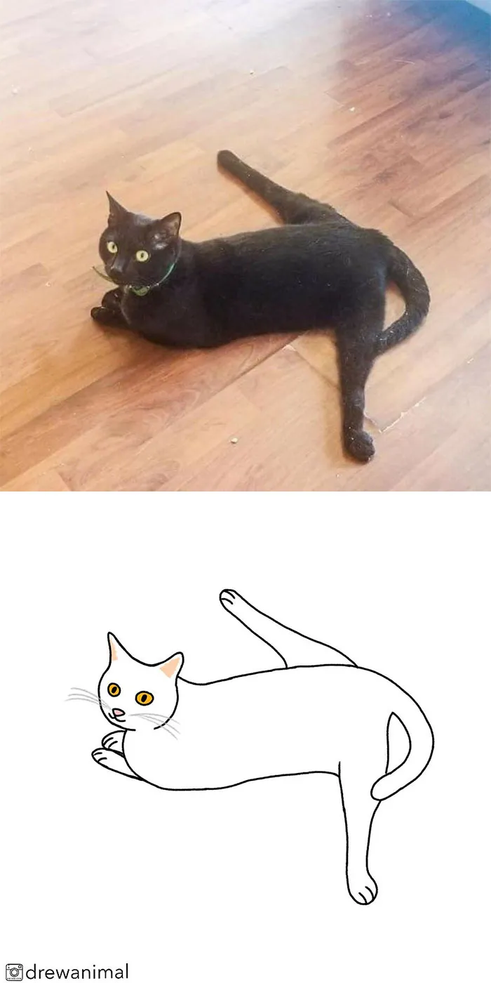 Artist Transforms Funny Cat Pics Into Illustrations And Here Are 70 Of The Best Ones