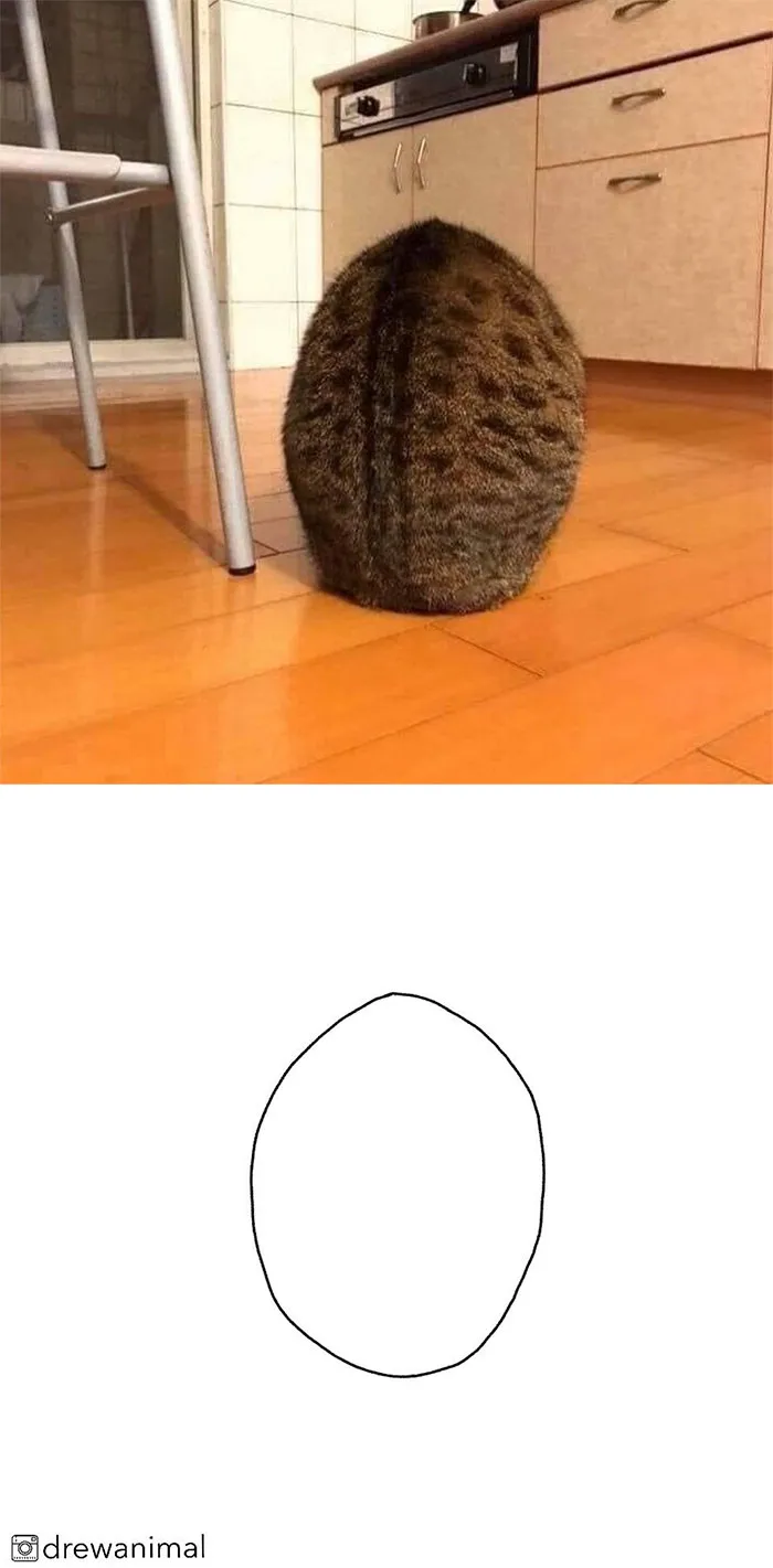 Artist Transforms Funny Cat Pics Into Illustrations And Here Are 70 Of The Best Ones