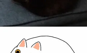 Artist Transforms Funny Cat Pics Into Illustrations And Here Are 70 Of The Best Ones