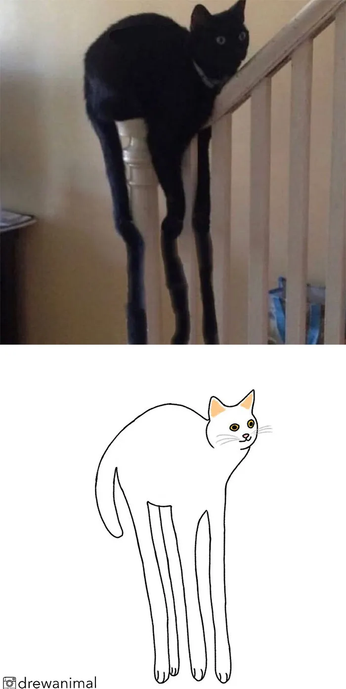 Artist Transforms Funny Cat Pics Into Illustrations And Here Are 70 Of The Best Ones