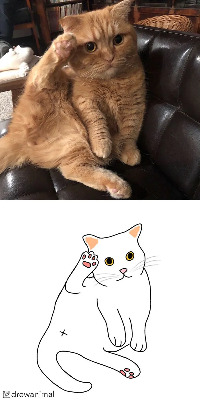 Artist Transforms Funny Cat Pics Into Illustrations And Here Are 70 Of The Best Ones