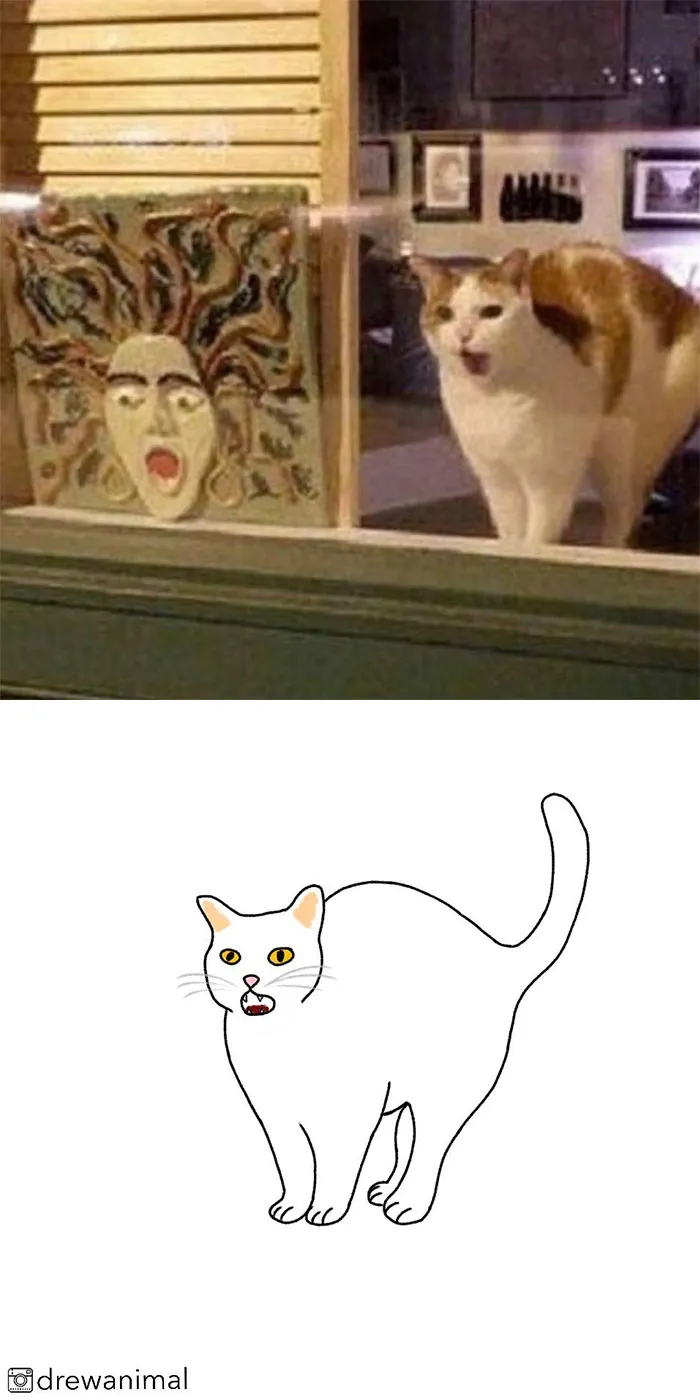 Artist Transforms Funny Cat Pics Into Illustrations And Here Are 70 Of The Best Ones
