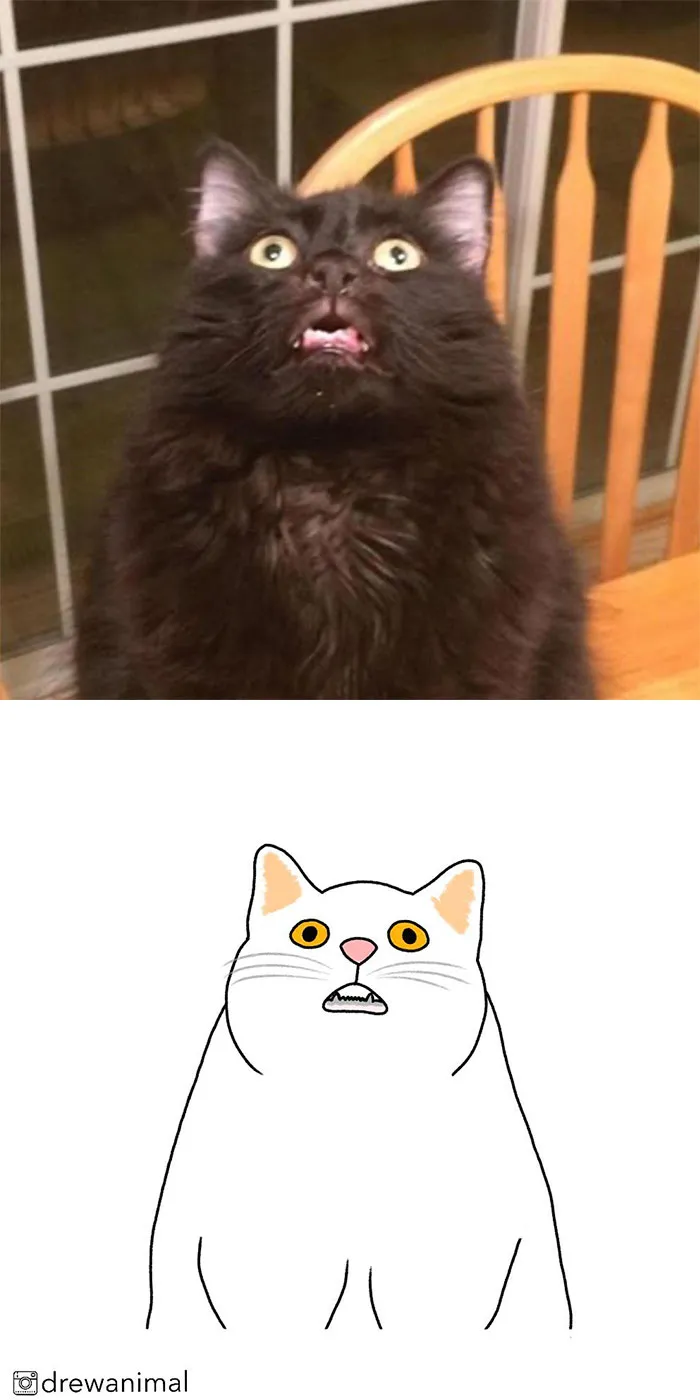 Artist Transforms Funny Cat Pics Into Illustrations And Here Are 70 Of The Best Ones
