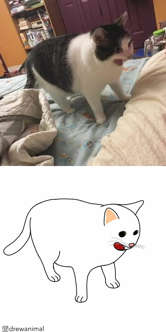 Artist Transforms Funny Cat Pics Into Illustrations And Here Are 70 Of The Best Ones