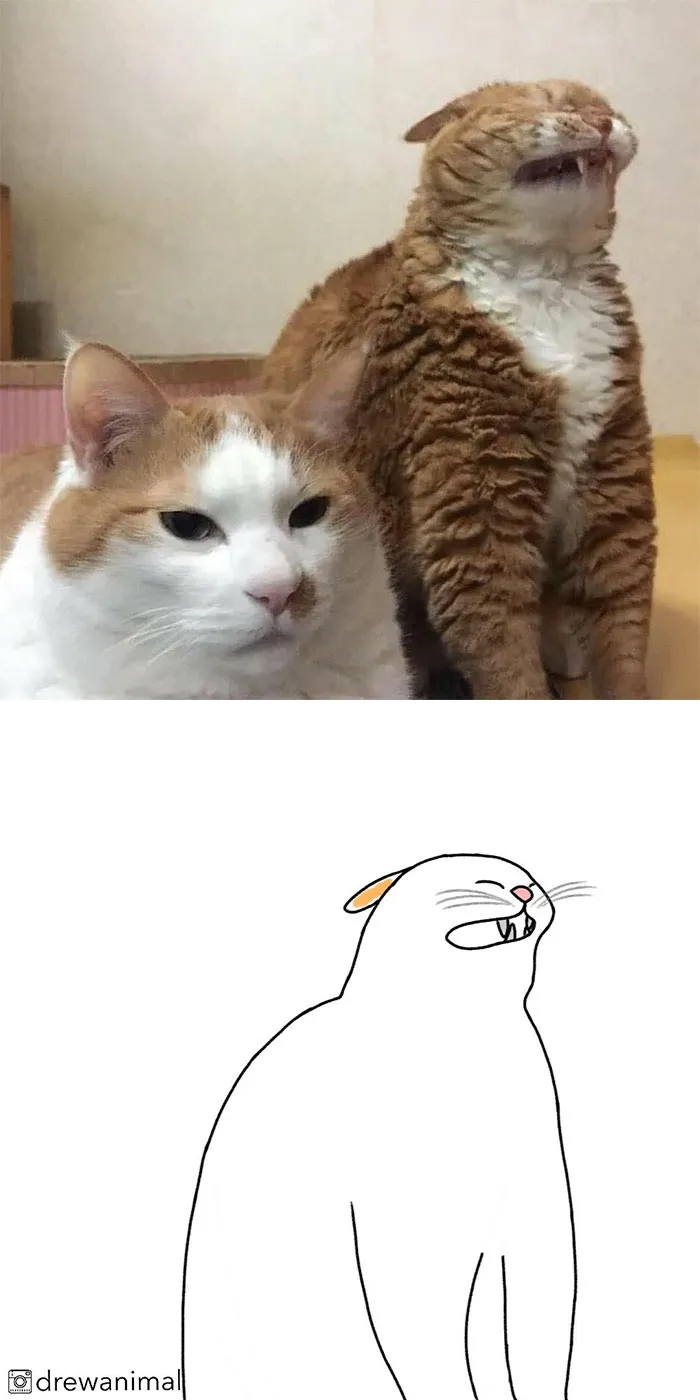 Artist Transforms Funny Cat Pics Into Illustrations And Here Are 70 Of The Best Ones