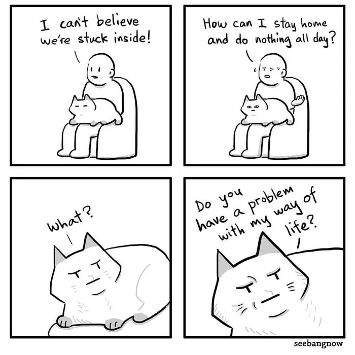 30 Comics That Show What Living With A Cat Is Really Like, By Xibang