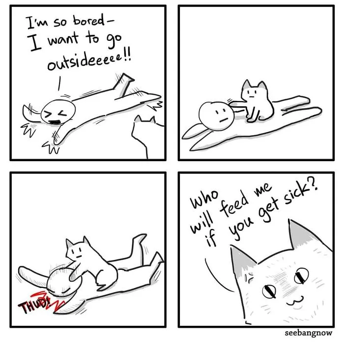 30 Comics That Show What Living With A Cat Is Really Like, By Xibang