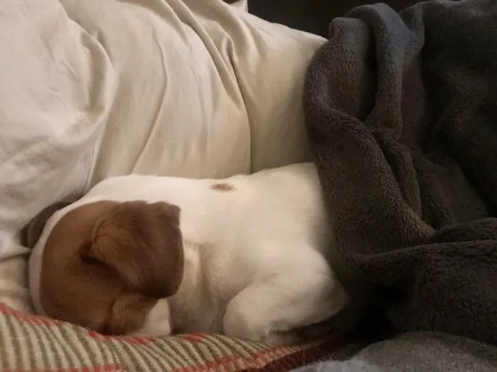 Long Day