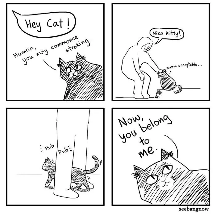 30 Comics That Show What Living With A Cat Is Really Like, By Xibang