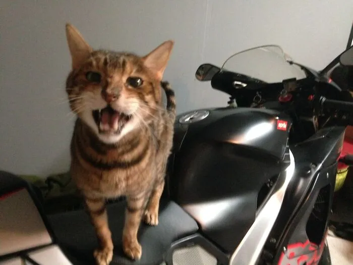 Let’s Ride!