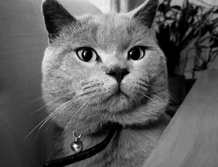 My Baby, Floyd.