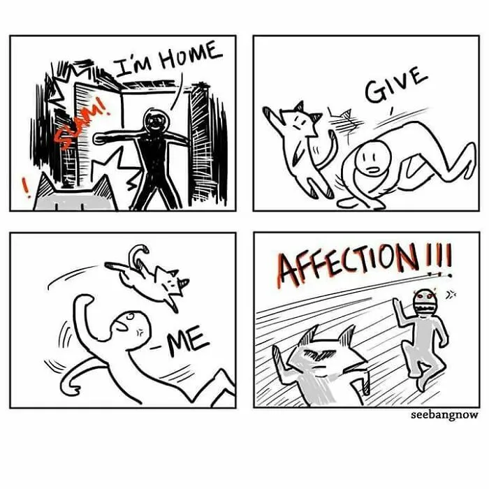 30 Comics That Show What Living With A Cat Is Really Like, By Xibang