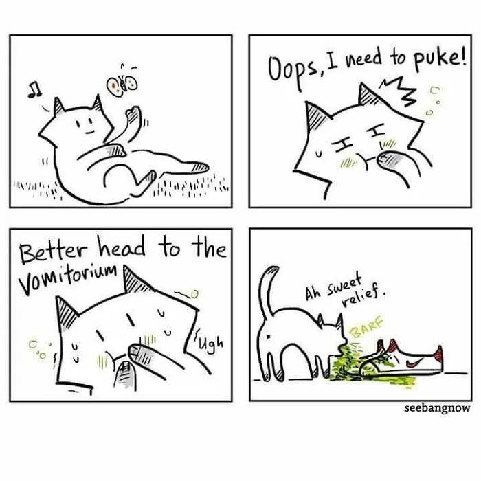 30 Comics That Show What Living With A Cat Is Really Like, By Xibang