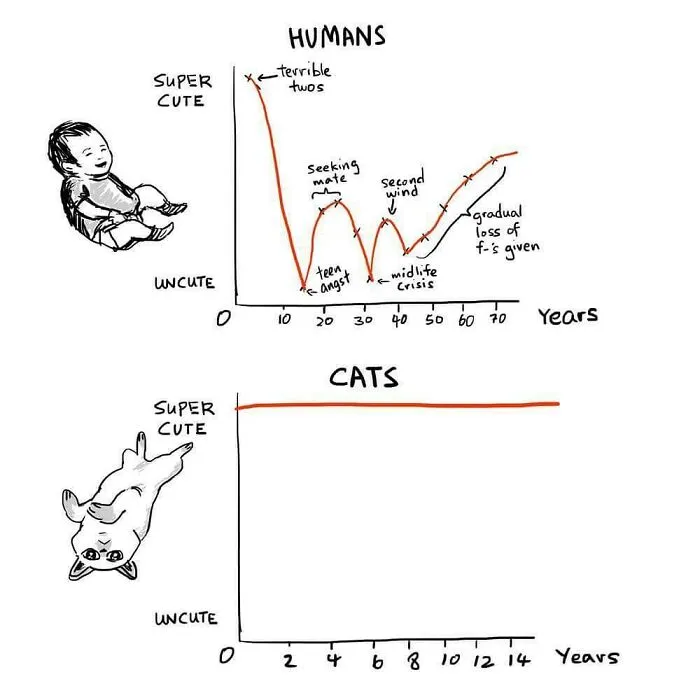 30 Comics That Show What Living With A Cat Is Really Like, By Xibang