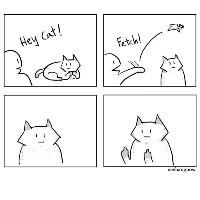 30 Comics That Show What Living With A Cat Is Really Like, By Xibang