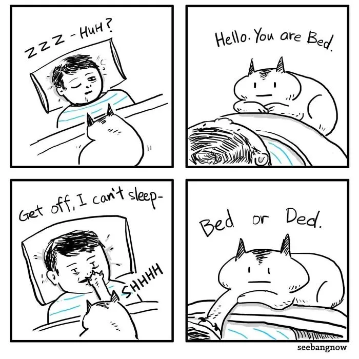 30 Comics That Show What Living With A Cat Is Really Like, By Xibang