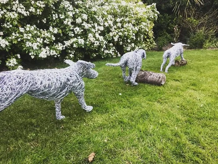 37 Incredible Animal Sculptures Created Out Of Galvanized Wire By This Norfolk-Based Artist