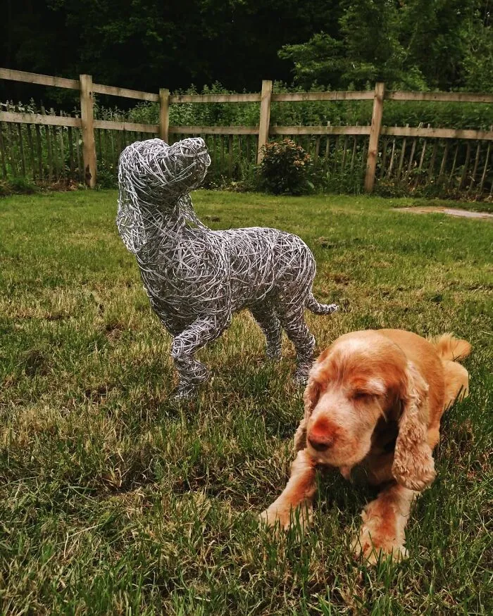 37 Incredible Animal Sculptures Created Out Of Galvanized Wire By This Norfolk-Based Artist