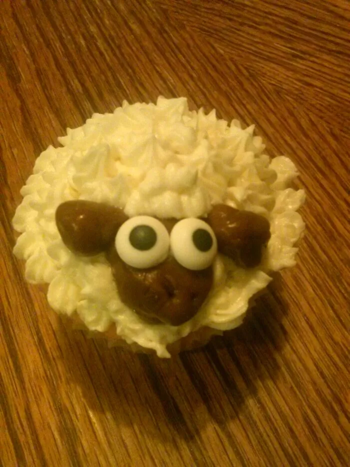 Homemade Cupcake