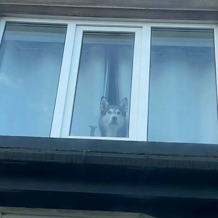 When Mum And Dad Try Sneak Out The House, They Were Unsuccessful, I Heard Them