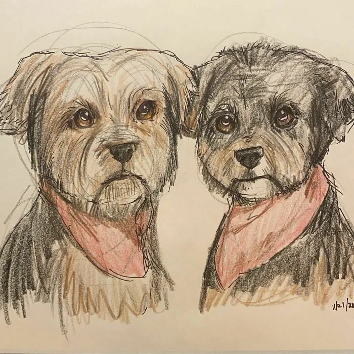 I Draw Pet Portraits On Request And Then Donate The Received Funds To Charity (70 Pics)