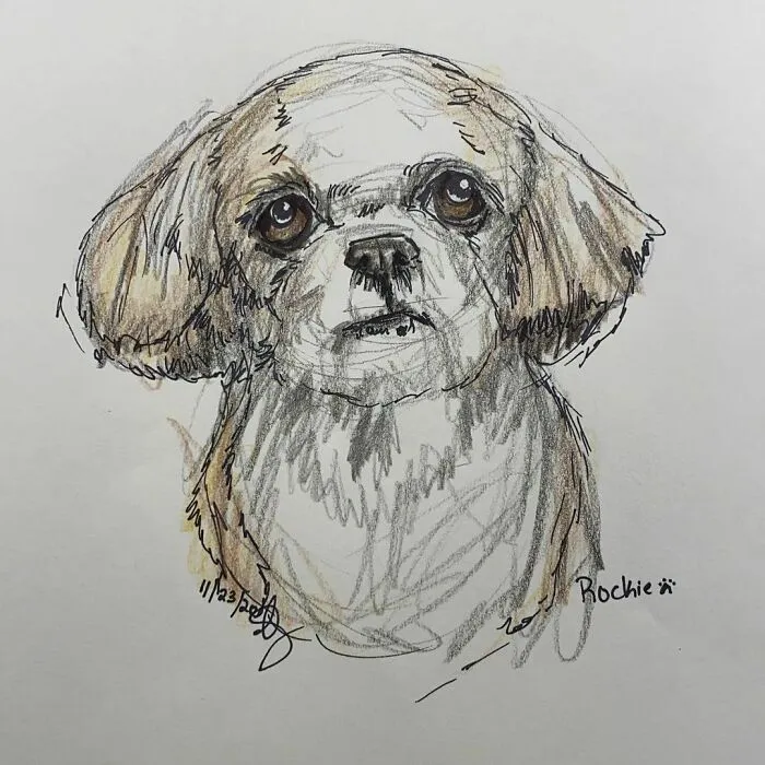 I Draw Pet Portraits On Request And Then Donate The Received Funds To Charity (70 Pics)