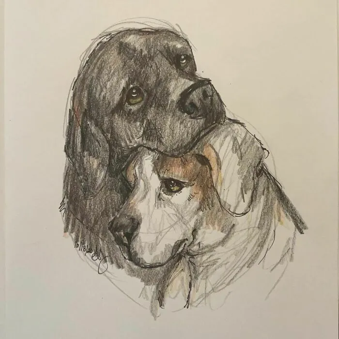 I Draw Pet Portraits On Request And Then Donate The Received Funds To Charity (70 Pics)