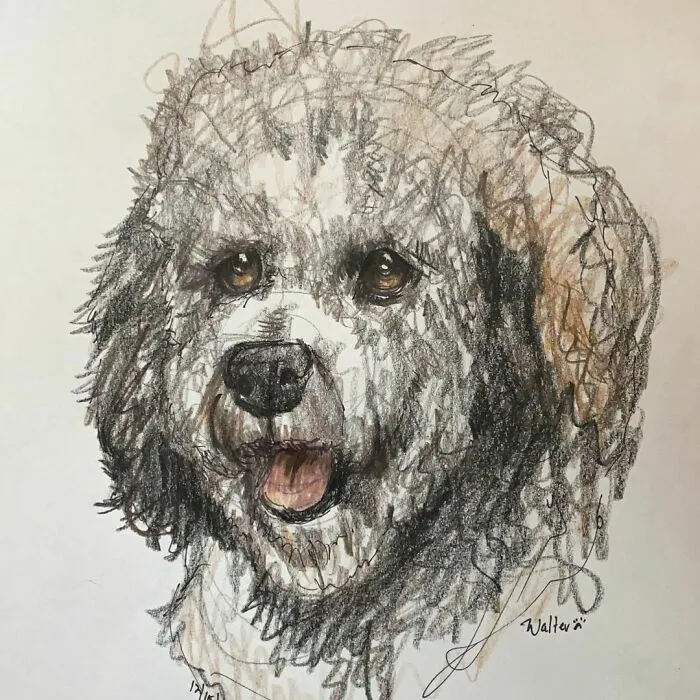 I Draw Pet Portraits On Request And Then Donate The Received Funds To Charity (70 Pics)