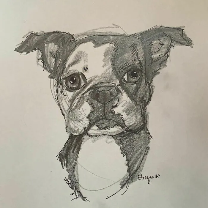 I Draw Pet Portraits On Request And Then Donate The Received Funds To Charity (70 Pics)