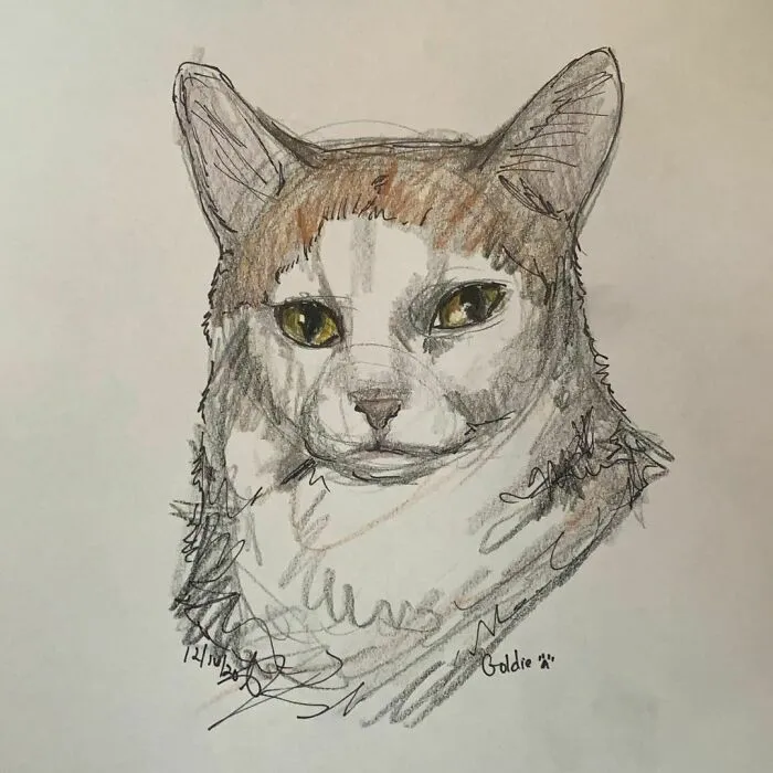 I Draw Pet Portraits On Request And Then Donate The Received Funds To Charity (70 Pics)
