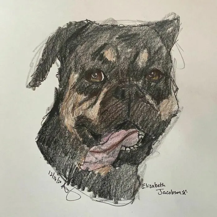 I Draw Pet Portraits On Request And Then Donate The Received Funds To Charity (70 Pics)