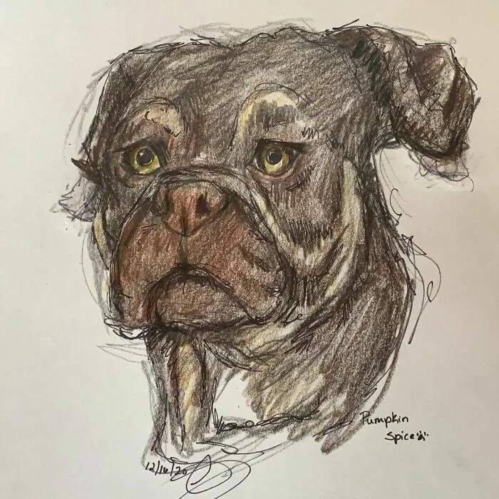 I Draw Pet Portraits On Request And Then Donate The Received Funds To Charity (70 Pics)