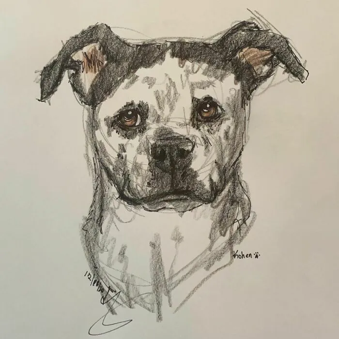 I Draw Pet Portraits On Request And Then Donate The Received Funds To Charity (70 Pics)