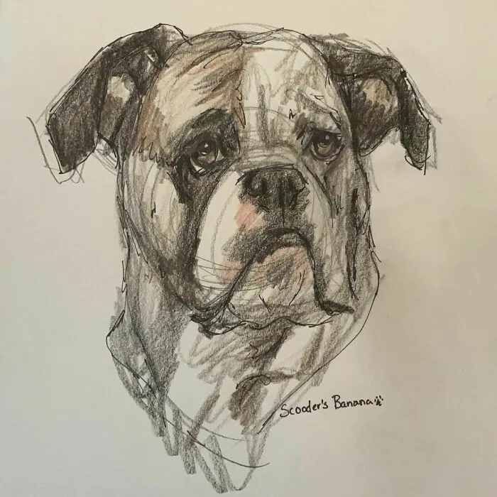 I Draw Pet Portraits On Request And Then Donate The Received Funds To Charity (70 Pics)