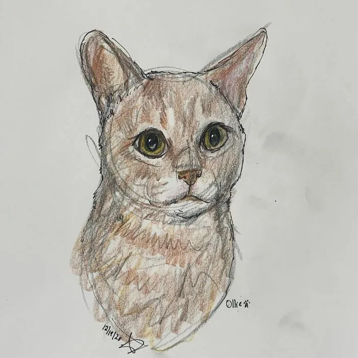 I Draw Pet Portraits On Request And Then Donate The Received Funds To Charity (70 Pics)