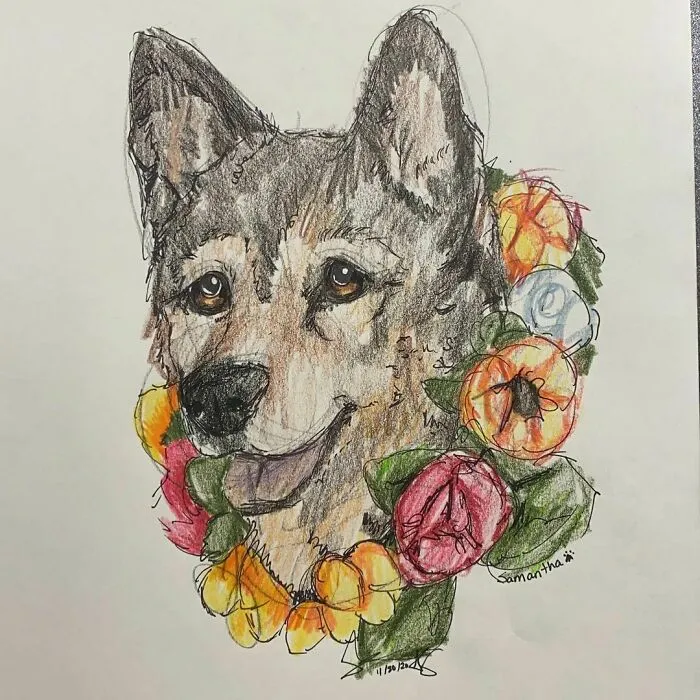I Draw Pet Portraits On Request And Then Donate The Received Funds To Charity (70 Pics)