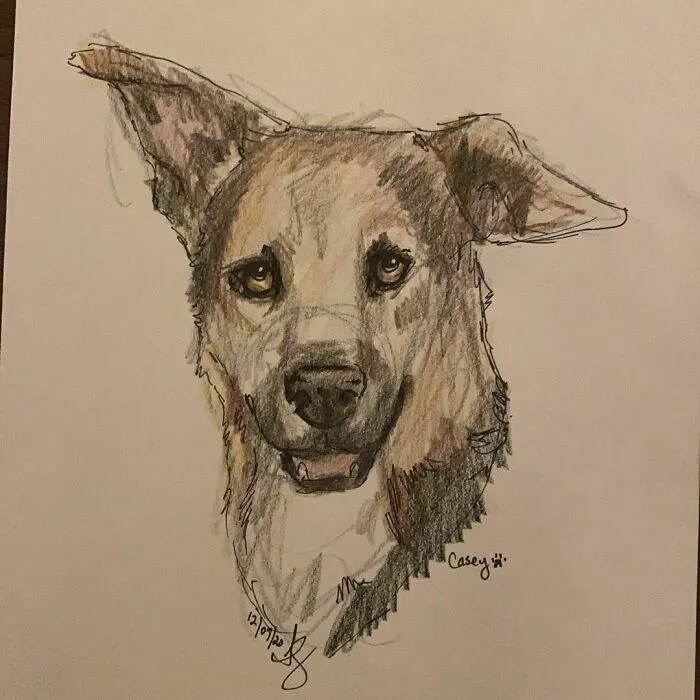 I Draw Pet Portraits On Request And Then Donate The Received Funds To Charity (70 Pics)