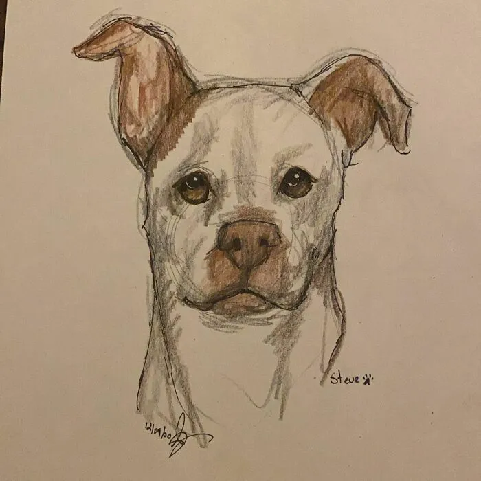 I Draw Pet Portraits On Request And Then Donate The Received Funds To Charity (70 Pics)