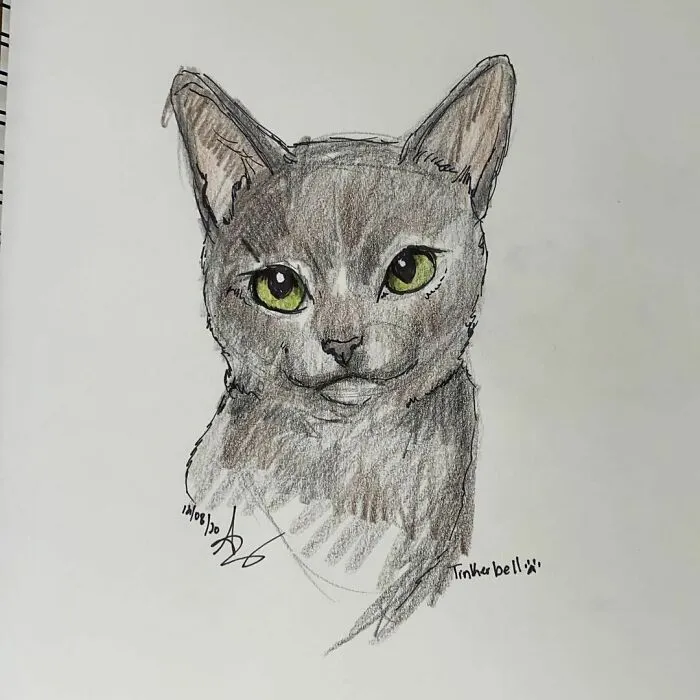 I Draw Pet Portraits On Request And Then Donate The Received Funds To Charity (70 Pics)