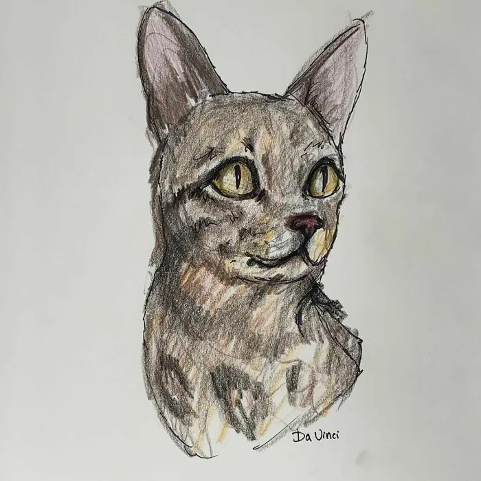 I Draw Pet Portraits On Request And Then Donate The Received Funds To Charity (70 Pics)