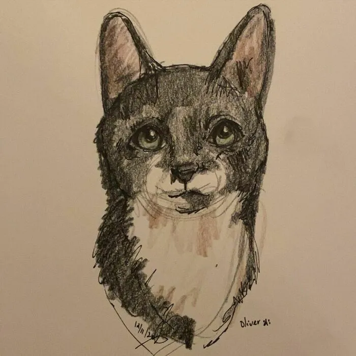 I Draw Pet Portraits On Request And Then Donate The Received Funds To Charity (70 Pics)