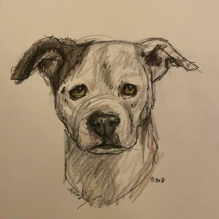I Draw Pet Portraits On Request And Then Donate The Received Funds To Charity (70 Pics)