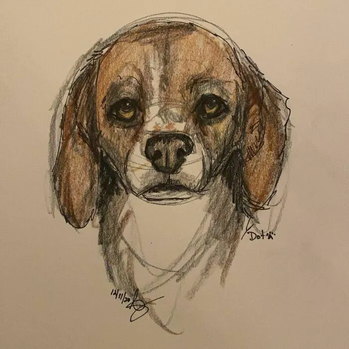 I Draw Pet Portraits On Request And Then Donate The Received Funds To Charity (70 Pics)