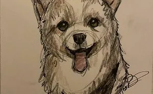 I Draw Pet Portraits On Request And Then Donate The Received Funds To Charity (70 Pics)
