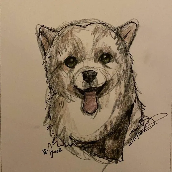 Pet Portraits For Charity