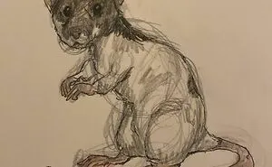 I Draw Pet Portraits On Request And Then Donate The Received Funds To Charity (70 Pics)
